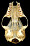 thumbnail of ventral view of Antrozous skull
