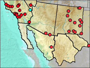 Pleistocene distribution of Bison antiquus