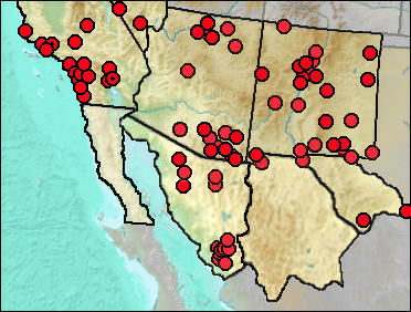 Pleistocene distribution of Bison sp.