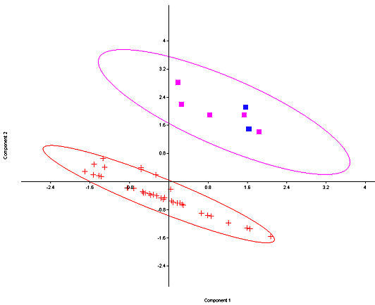 Principal Components plot of Sylvilagus nuttallii versus S. floridanus utilizing six measurements of the teeth and dentaries