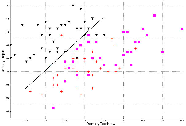 Scattergram plotting alveolar length of the dentary against dentary depth at p4