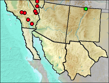 Pleistocene distribution of Ammospermophilus leucurus