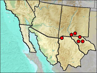 Distribution of fossil Bogertophis subocularis.