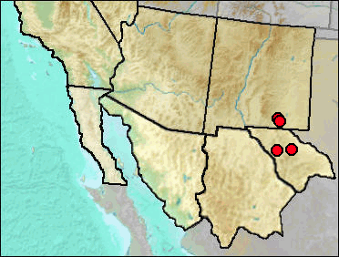 Regional Pleistocene distribution of Chaetodipus hipidus.