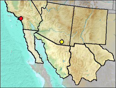 Regional Distribution of fossil Coluber sp.