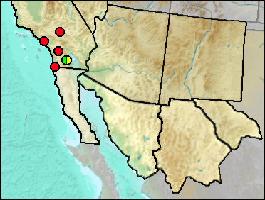 Pleistocene regional distribution of Elgaria sp.