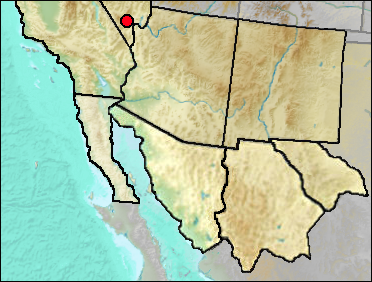Regional Pleistocene distribution of Felis/Lynx