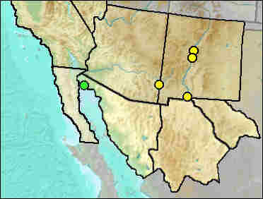 Pleistocene distribution of Hemiauchenia gracilis