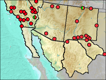 Regional Pleistocene distribution of Lepus californicus.