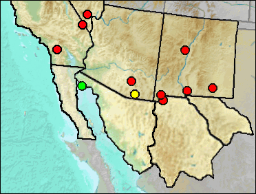 Regional Pleistocene distribution of  Masticophis sp.