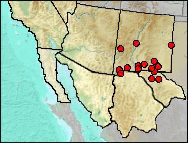 Pleistocene distribution of Microtus mogollonensis.