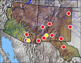 Distribution of fossil Lithobates sp.