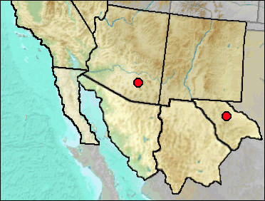Pleistocene distribution of Reithrodontomys montanus.