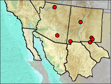 Pleistocene distribution of Sceloporus cowlesi