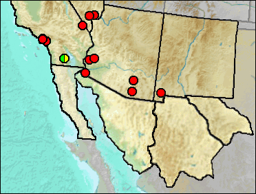 Pleistocene distribution of Sceloporus magister