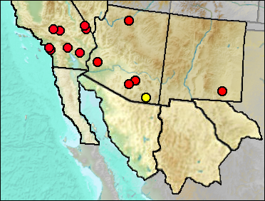 Regional Pleistocene distribution of Sceloporus sp.