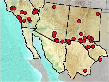 Regional Pleistocene distribution of Sylvilagus sp.