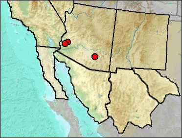 Regional Pleistocene distribution of Trimorphodon lambda.