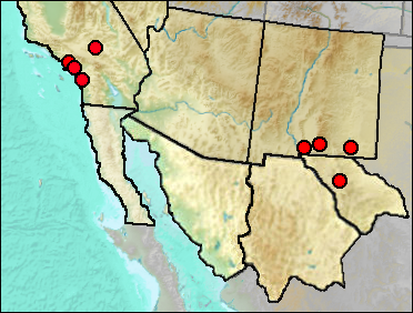 Regional Pleistocene distribution of Callipepla sp.