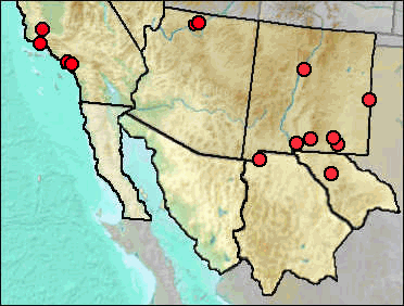 Regional distribution of Pleistocene Cathartes aura