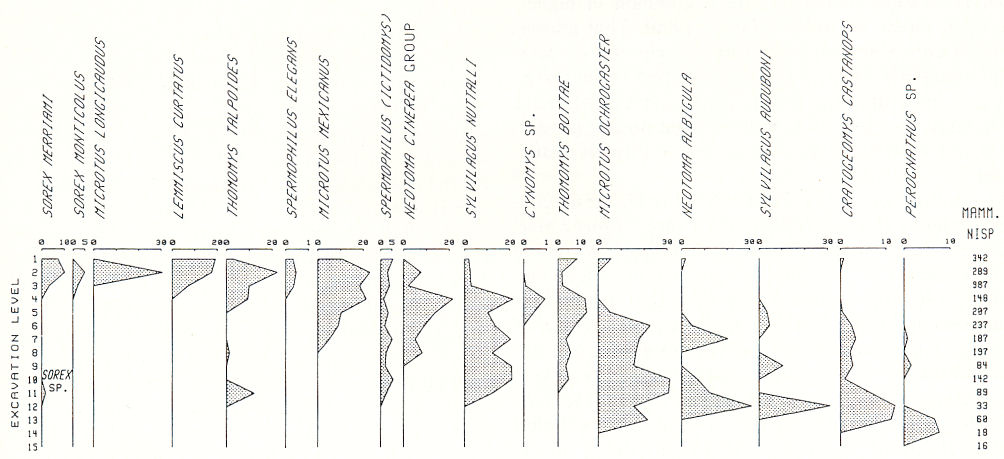 Progession of taxa from Mid Wisconsin to near pleniglacial conditions