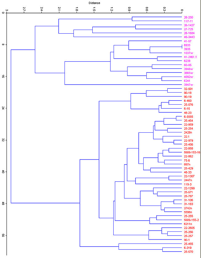Principal Components plot of Sylvilagus nuttallii versus S. audubonii