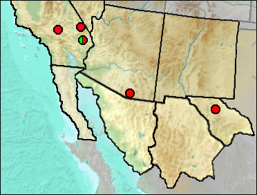 Regional Pleistocene distribution of Crotaphytus sp.