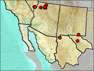Regional Pleistocene distribution of Oreamnos harringtoni