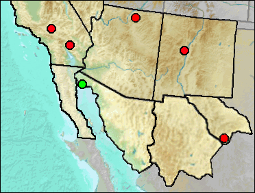 Regional Pleistocene distribution of Ovis sp.