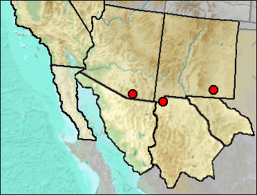 Regional Pleistocene distribution of Sceloporus (small)
