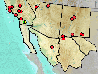 Regional Pleistocene distribution of Aquila chrysaetos