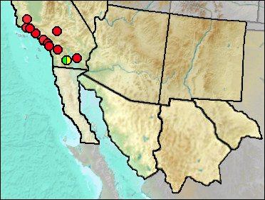 Regional distribution of Pleistocene Actinemys pallida