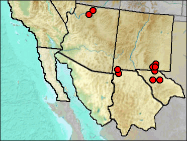 Pleistocene regional distribution of Eptesicus fuscus.