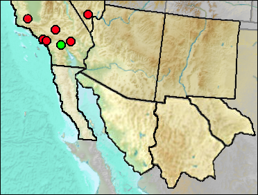 Regional Pleistocene distribution of Megalonyx sp.