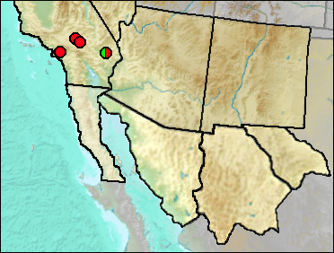 Regional Pleistocene distribution of Xantusia vigilis