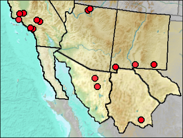 Regional Pleistocene distribution of Anas crecca carolinensis