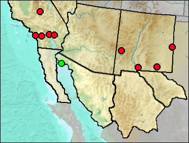 Regional Pleistocene distribution of Anas sp.