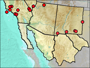 Regional Pleistocene distribution of Buteo jamaicensis