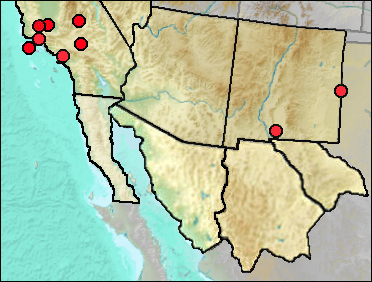Regional Pleistocene distribution of Haliaeetus leucocephalus