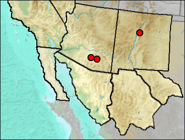Pleistocene regional distribution of Micrathene whitneyi