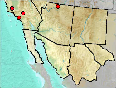 Pleistocene regional distribution of Recurvirostra americana