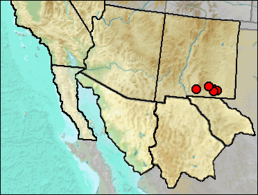 Regional Pleistocene distribution of Tympanuchus pallidicinctus