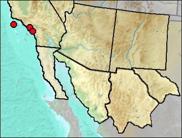Regional Pleistocene distribution of Uria aalge