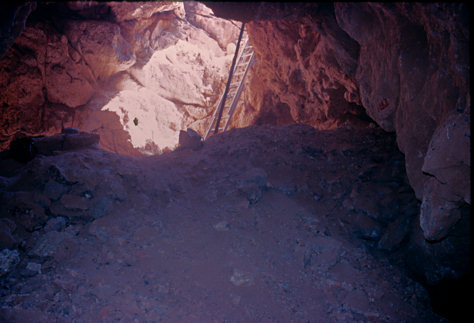 Looking toward the bottom of the entrance shaft of Conkling Cavern