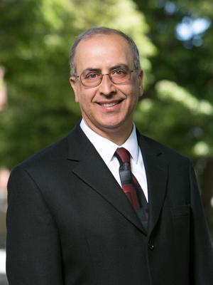 Ahmad M. Itani