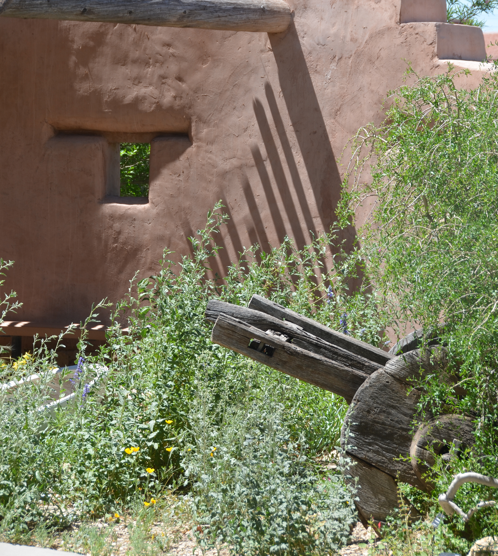 Outdoor Garden with old pueblo style landscaping and green plants surrounding
