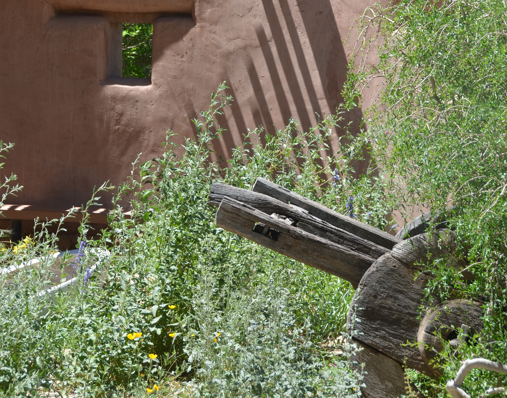 IMAGE OF OUTDOOR GARDENS WITH VINTAGE WHEEL BARREL