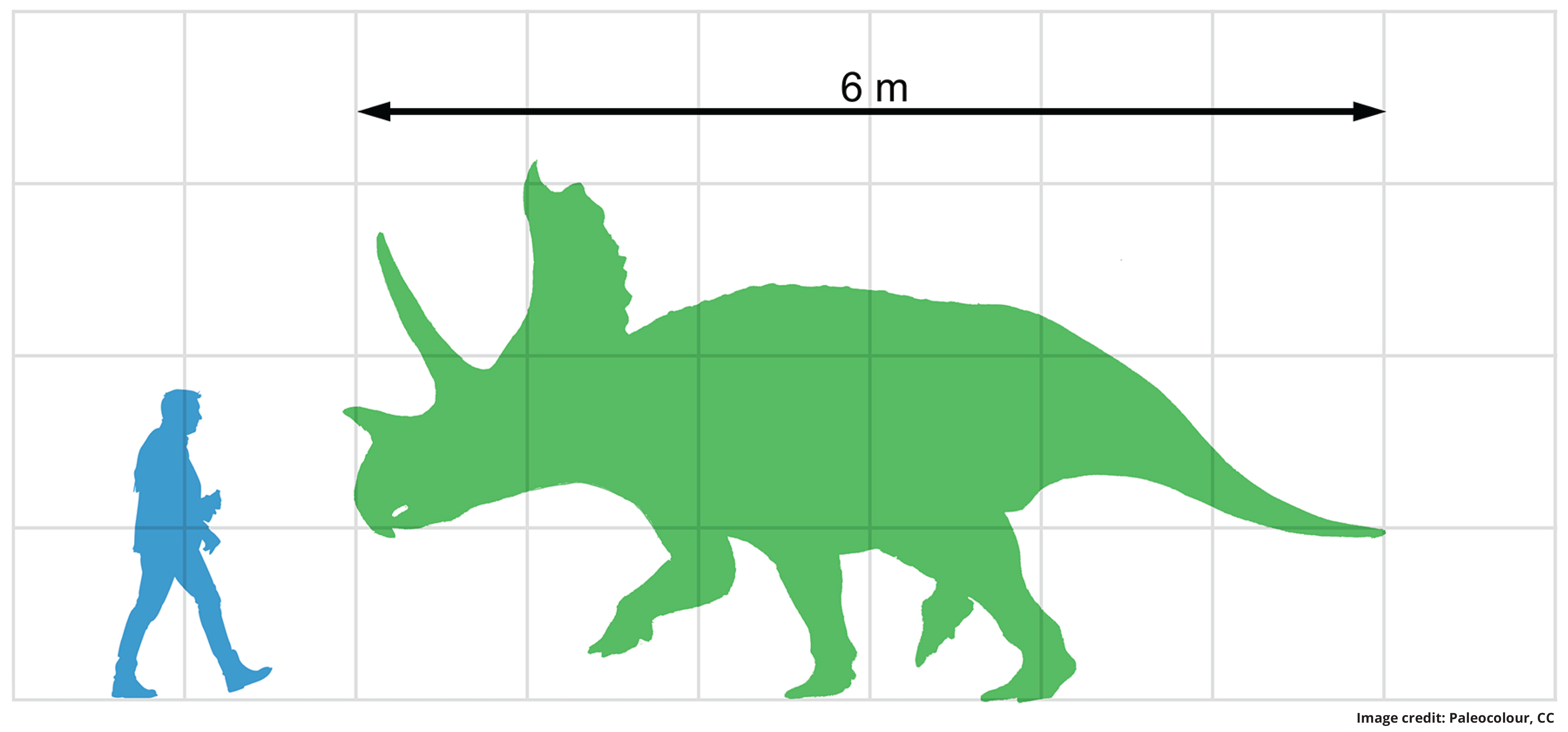 Agu-size-comparison.png