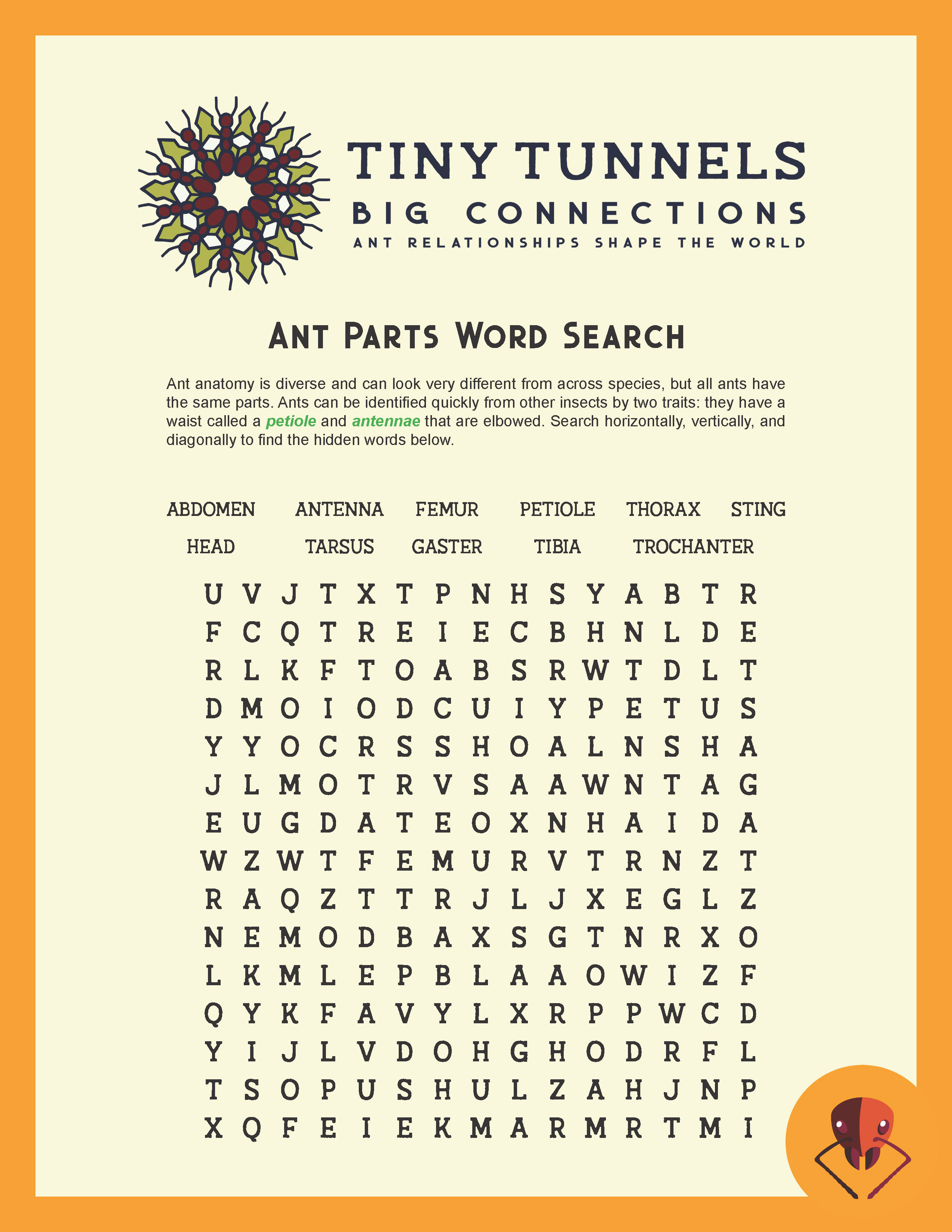 ant word search