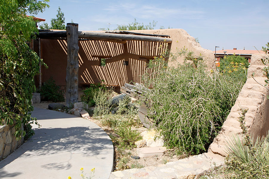 Centennial Museum And Chihuahuan Desert Gardens